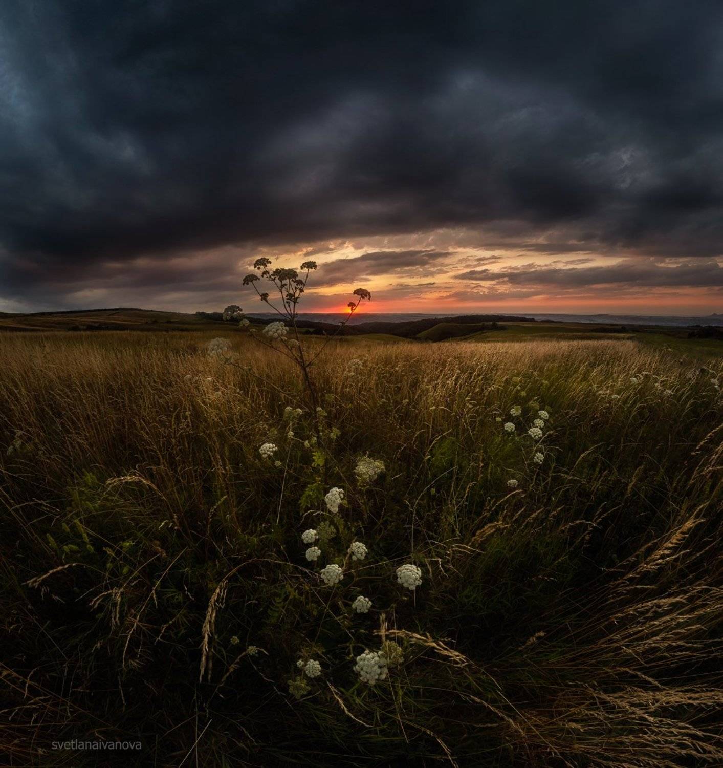 , Светлана Иванова