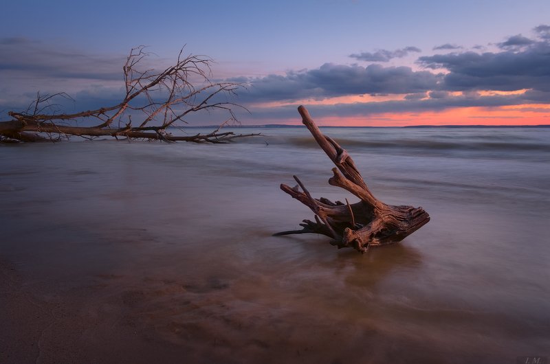 море, вечер, пейзаж, облака, закат, дерево, коряга, песок, прибой, вода, отражения, длинная выдержка, landscape, clouds, sea, wood, sand, tree, waves, reflections, seascape, sunset, colors, long exposure, wide angle, marine, sketches морские зарисовки фото превью