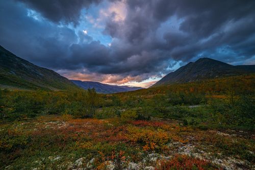 Наливка осенняя. Хибины.