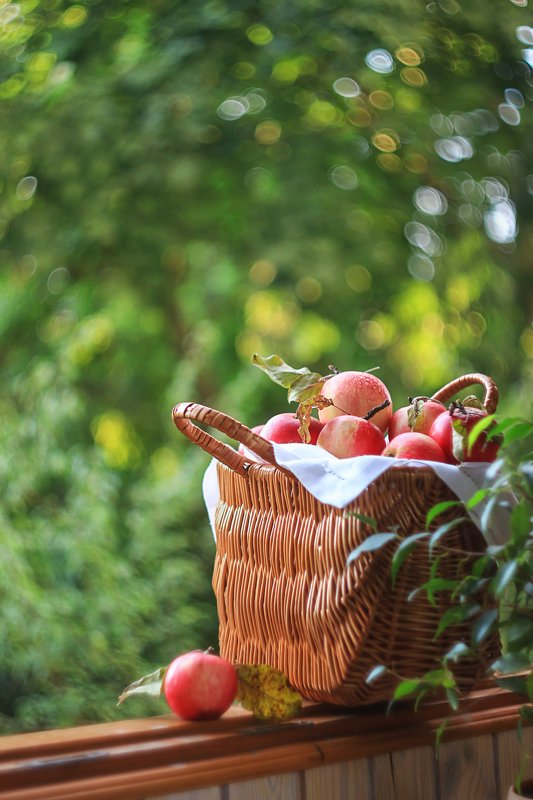 волшебная корзинка, яблоки моего сада, жизнь, о любви, боке,алое счастье, мой дом,ирина горюкина о любви... фото превью