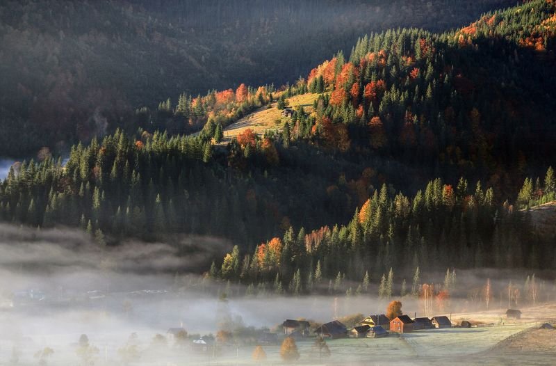 Утро а Карпатах фото превью