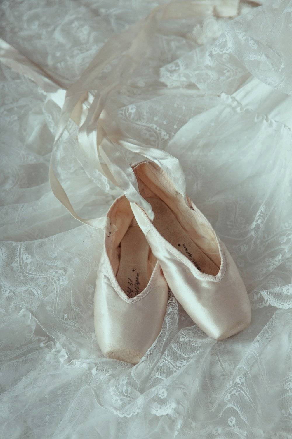 , Marie Dashkova