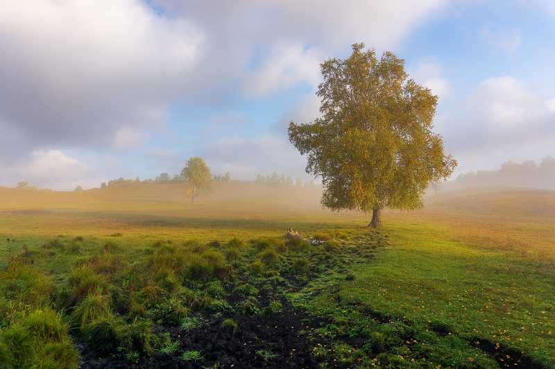 утро, рассвет, восход, туман, лучи Осенние зарисовки фото превью