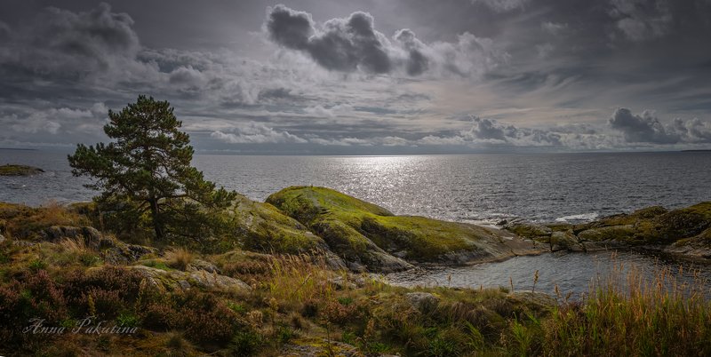 Северная красота Ладоги фото превью