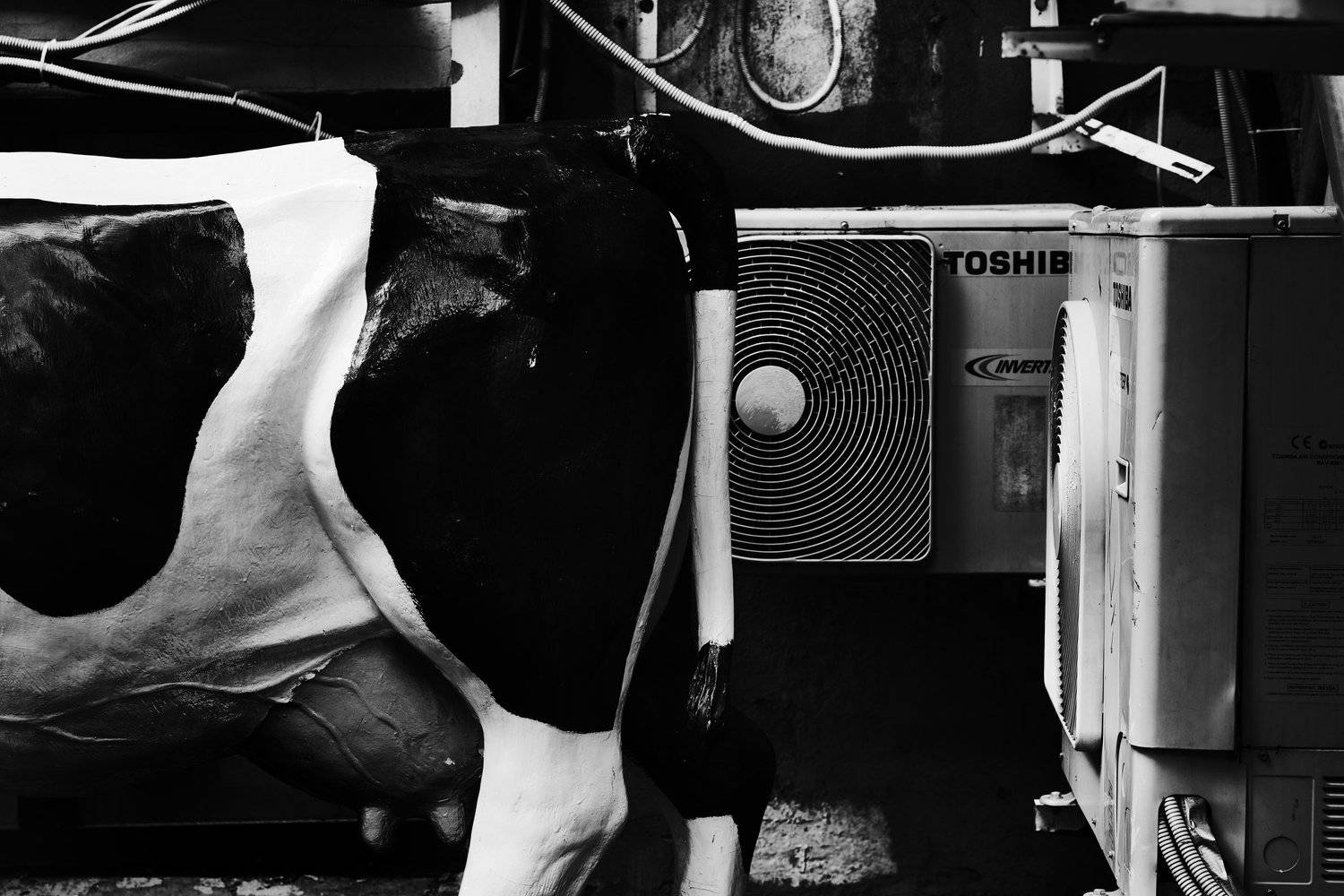 , Алексей Егоров