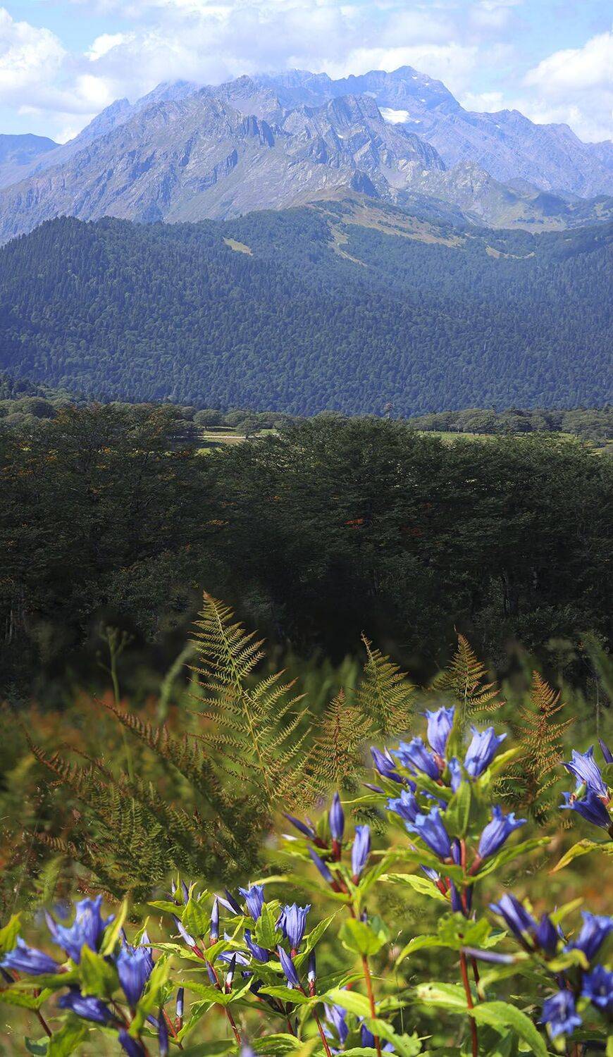 Абхазия, Пыв, Чха, Агура, Анчхо, Борис Резванцев