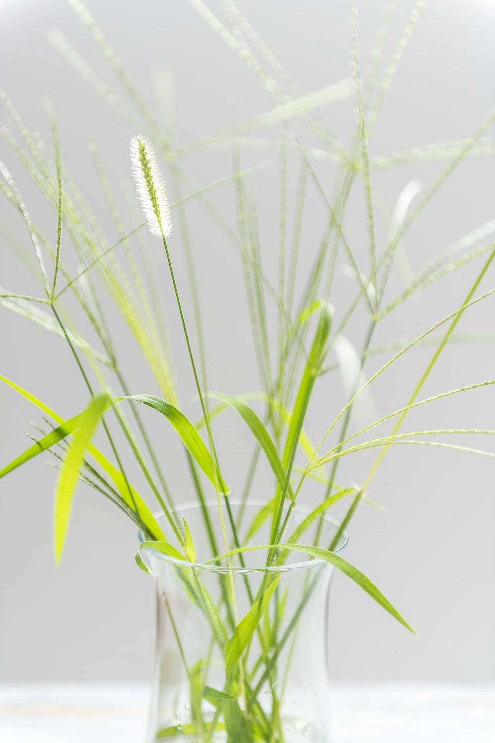 istanbul, Murat Sahin