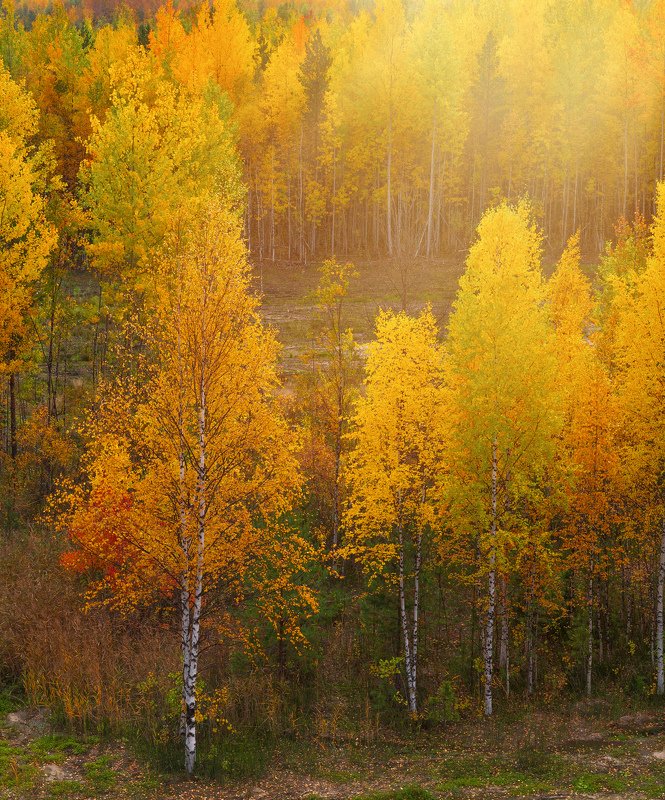осенняя фото превью