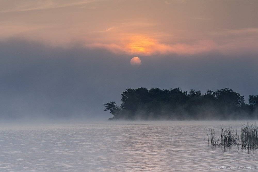 , Katarzyna Gritzmann