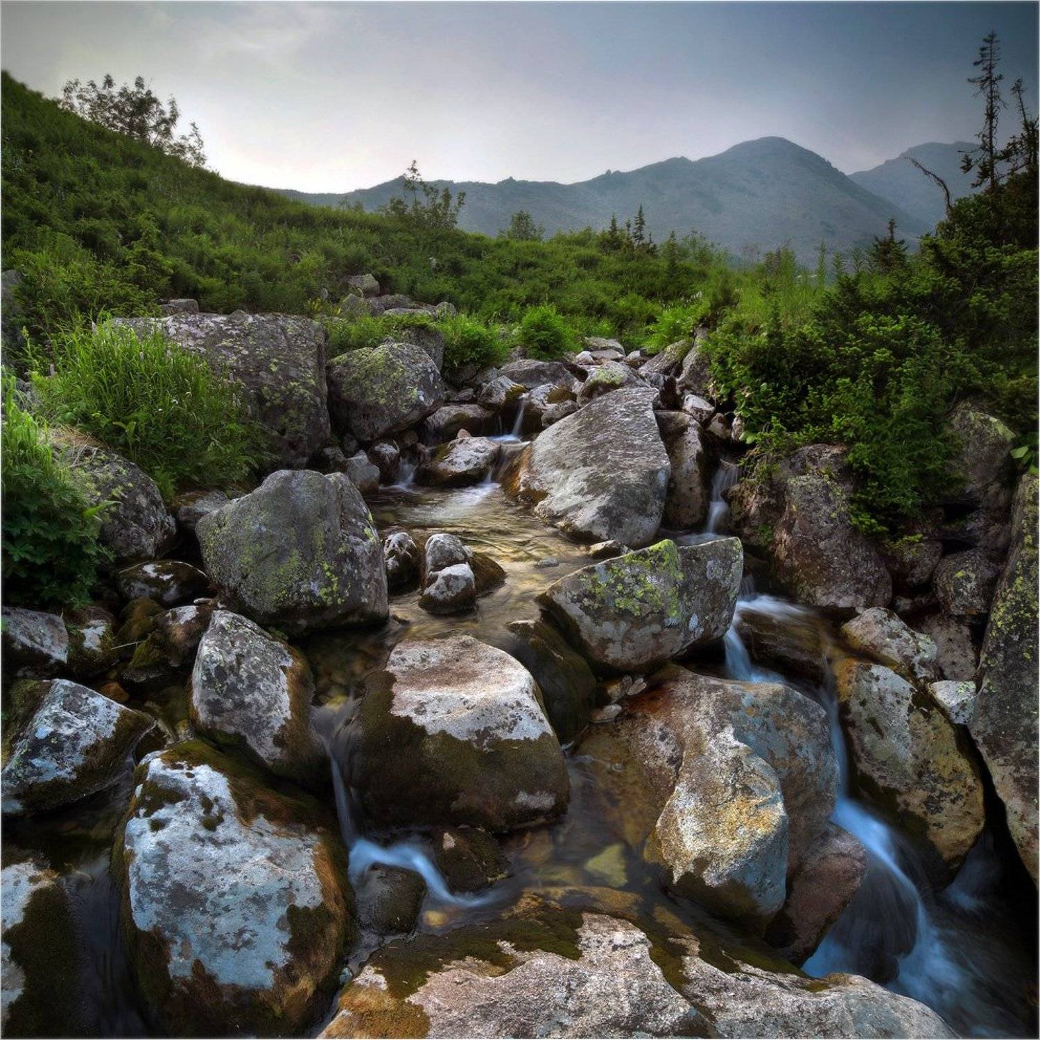 , Устинович Александр