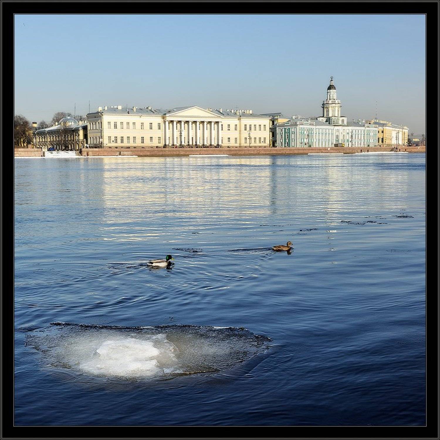 петербург, центр, нева, весна, квадрат, Kirill Shapovalov