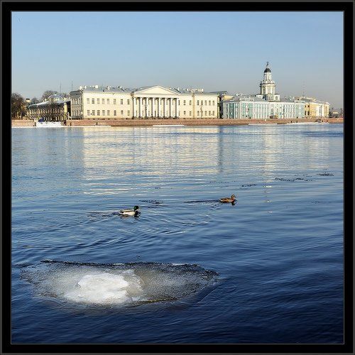 Цветная нарядная весенняя питерская квадратная картинка с Невы