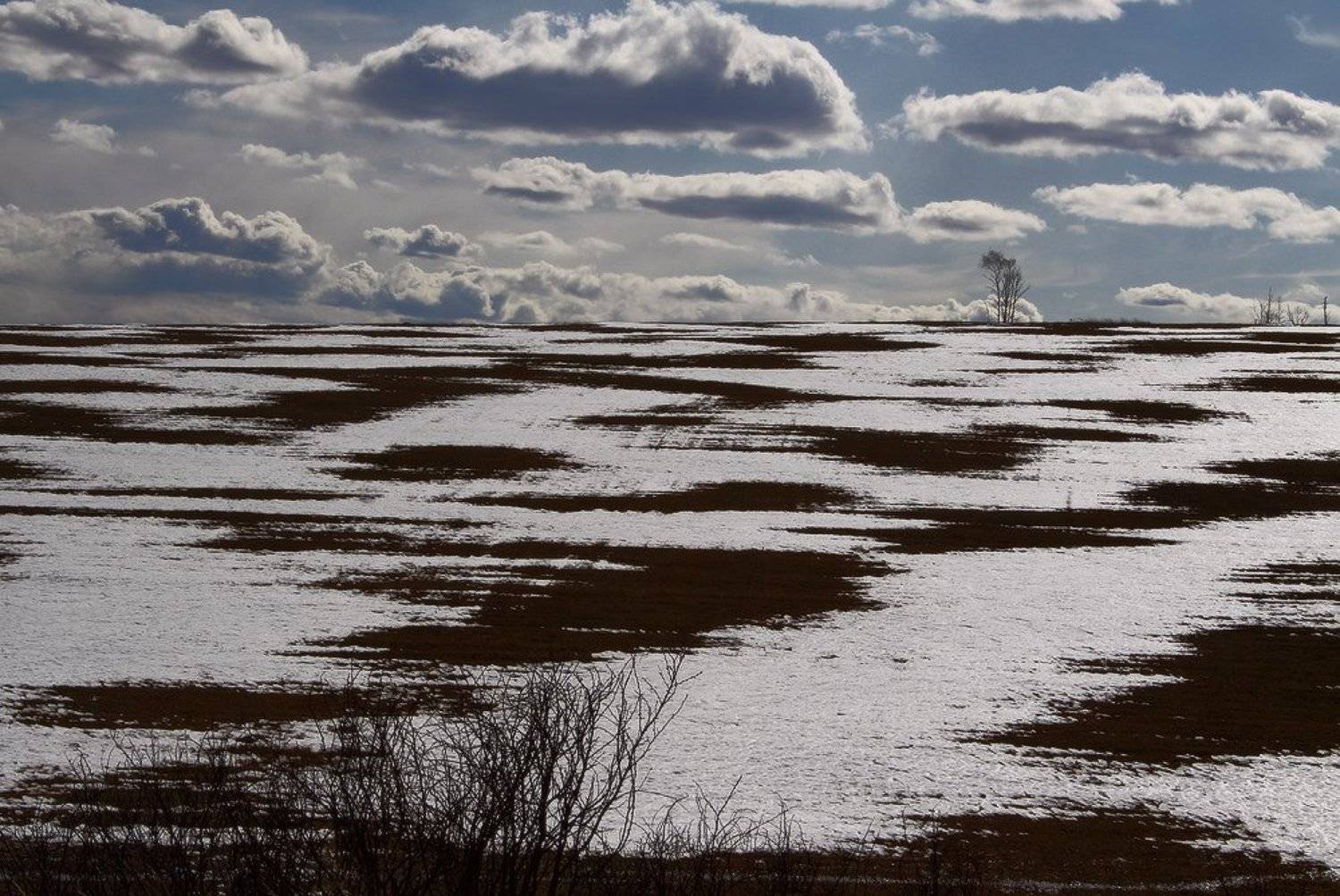 , Николай Морский