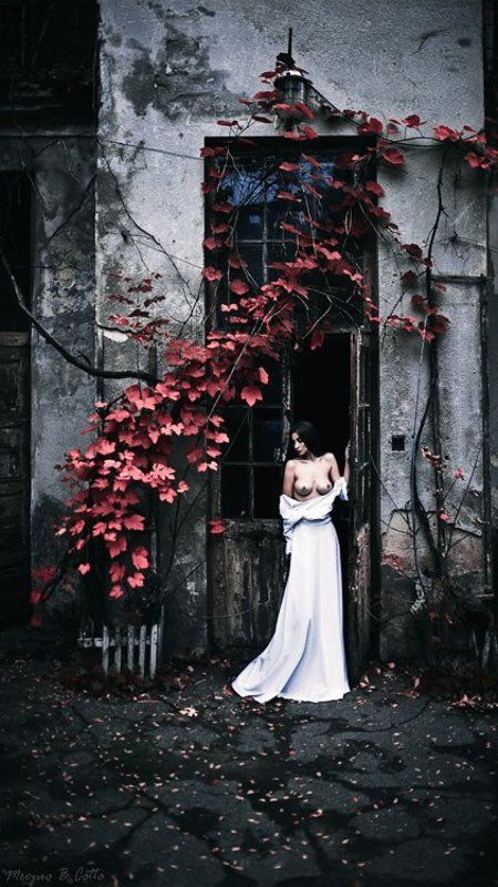 mecuro b cotto, cotto, mecuro, nu, nude, art-nu, art-nude, ** фото превью