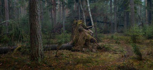 Заброшенная тропинка