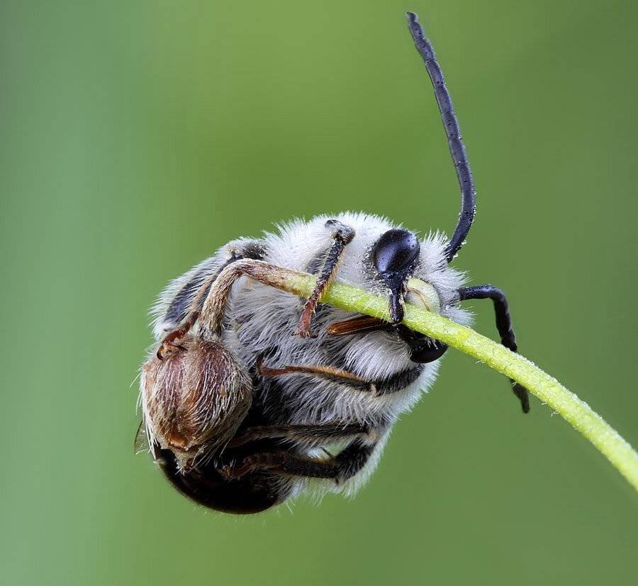 , Сергей Таланов