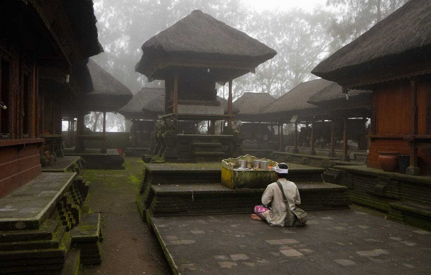 туман, Nelly B.