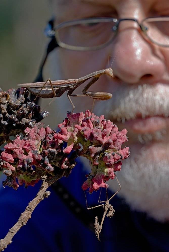 , Игорь ФУММ