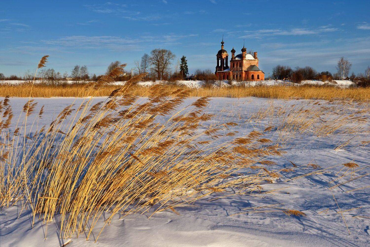 , Максим Евдокимов