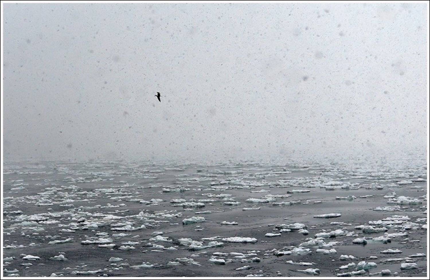 , Ольга Куликова