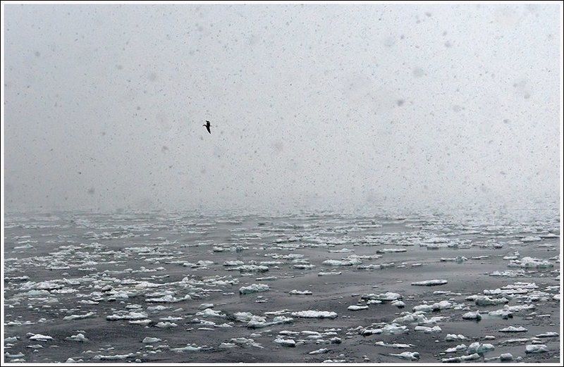 Тихий океан фото превью