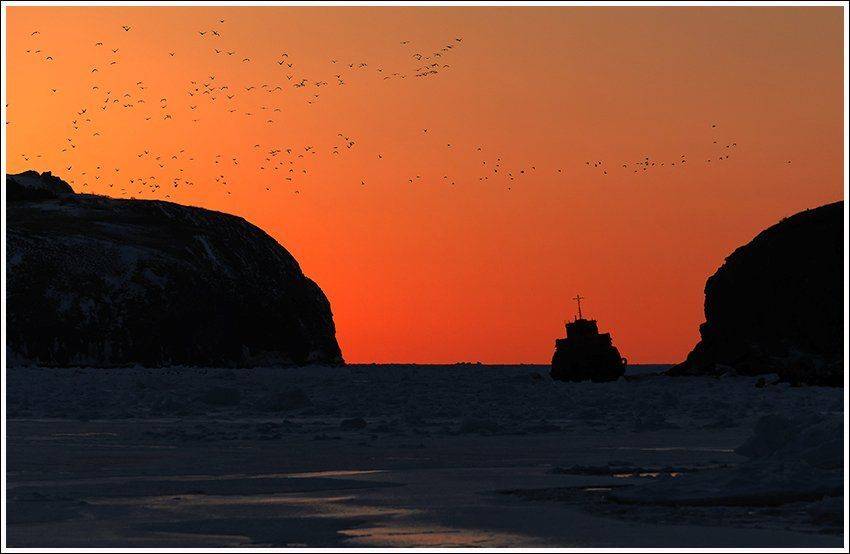 , Ольга Куликова