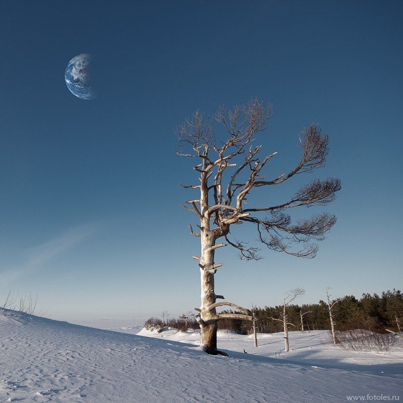 белое, море, север Меланхолия фото превью