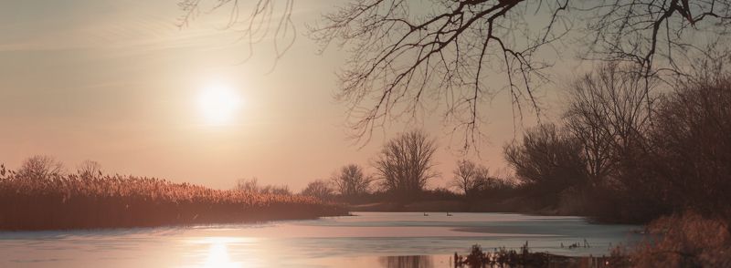 panorama, landscape, swans, swan, sunset Oxbow with swans фото превью