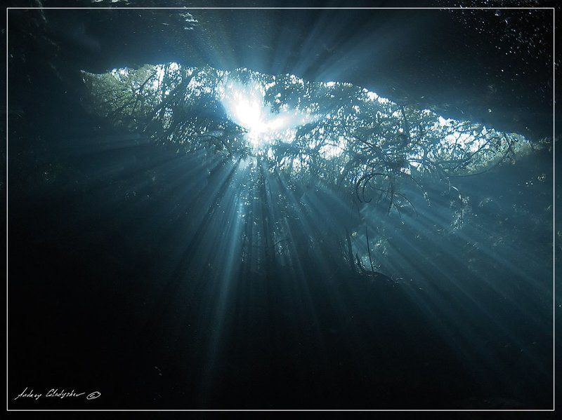 сенота, мексиа, подводная пещера Юкатан, Сеноты фото превью