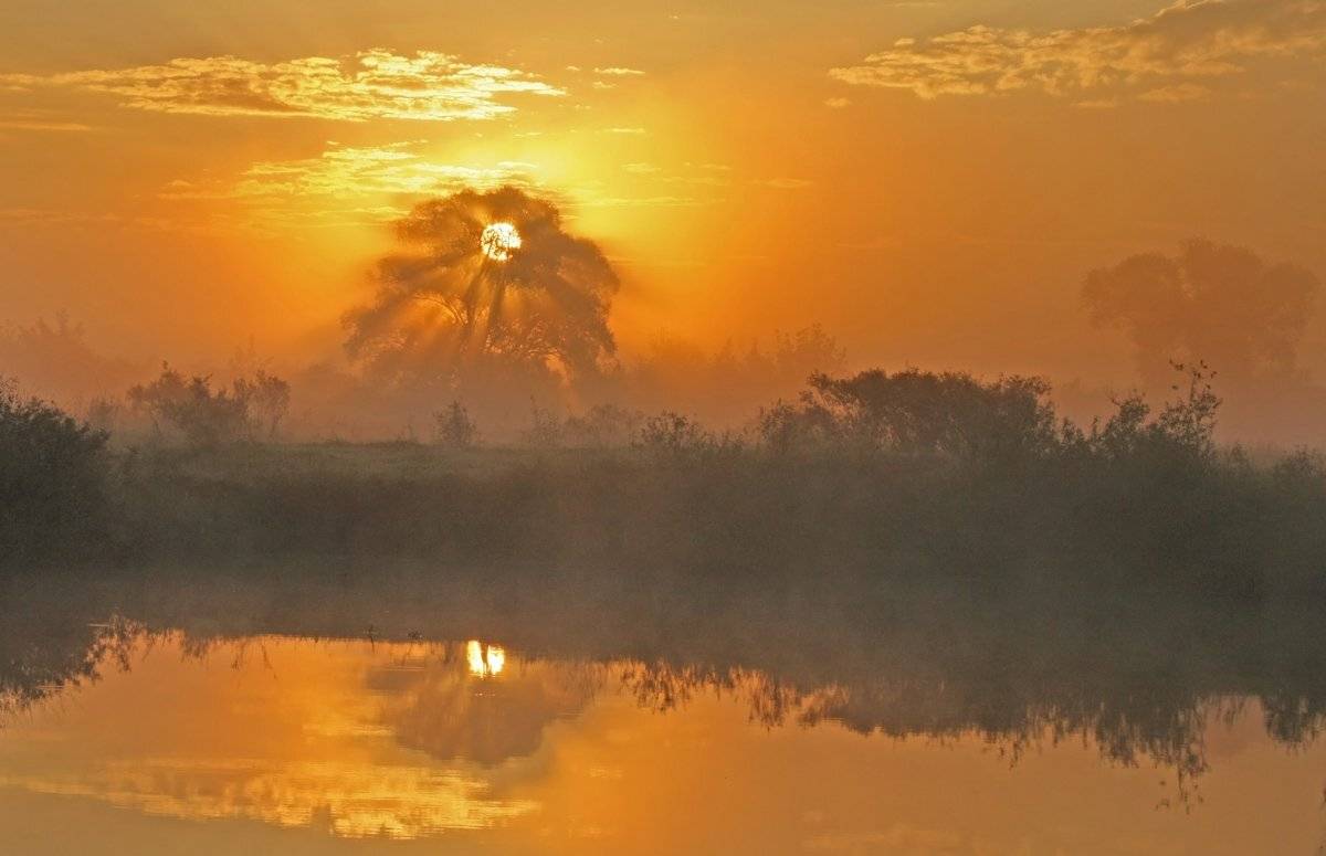 , Валерий Кондратов