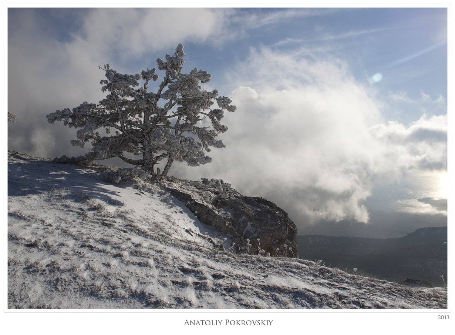 крым, горы, море, сосна, облака, снег, анатолий покровский, Анатолий Покровский