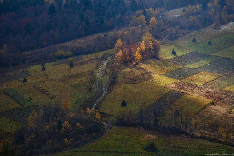 Вверх фото превью