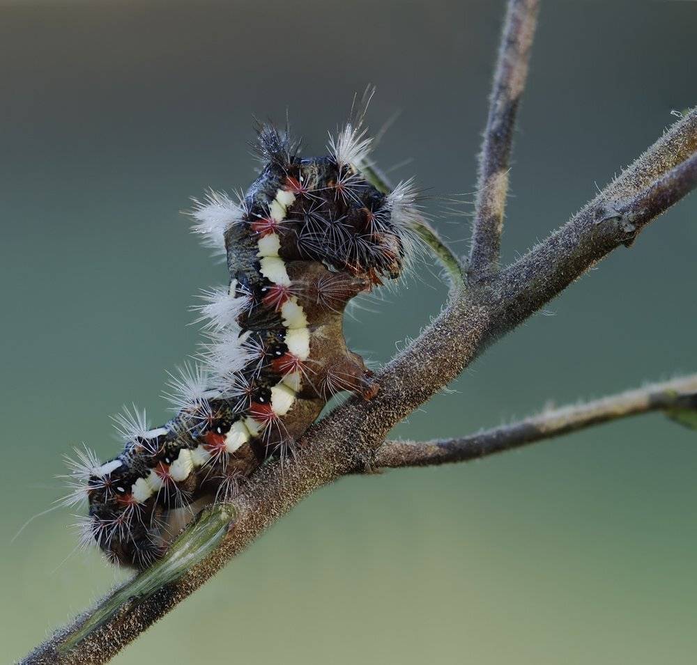 , Игорь ФУММ