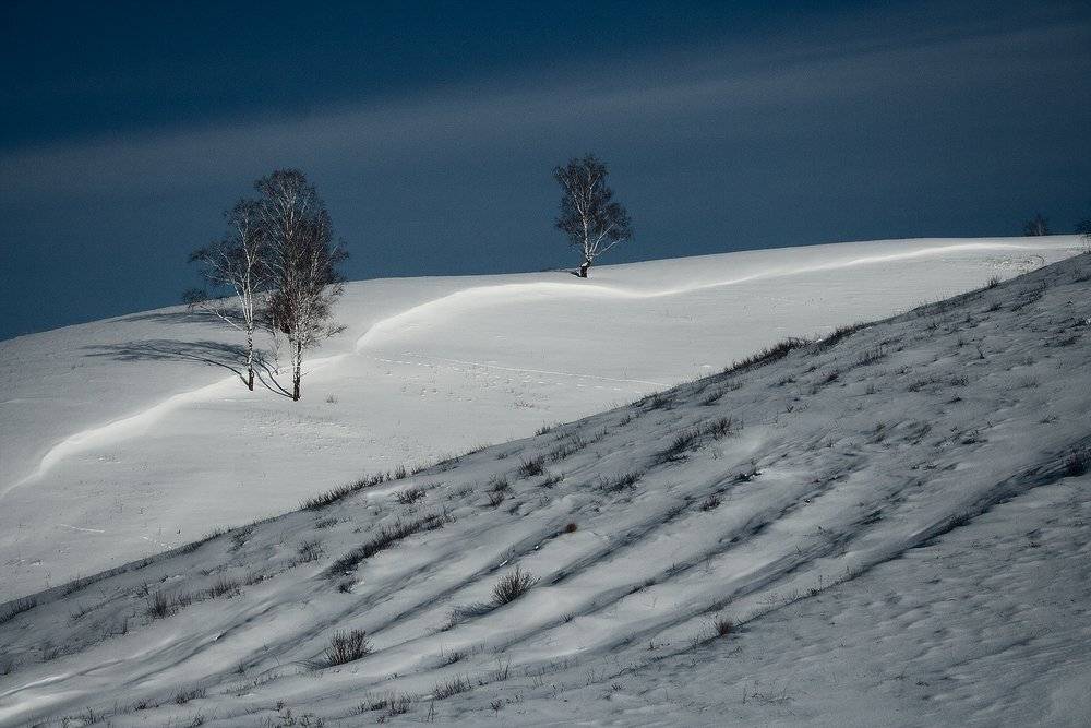 , Николай Морский