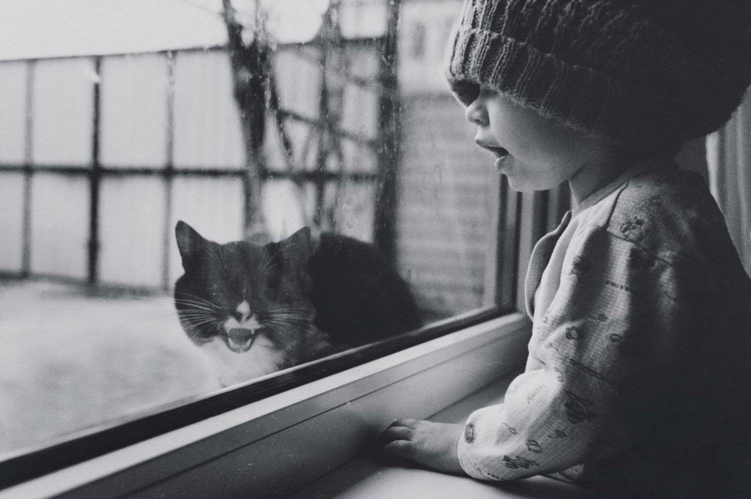 , Рустам Рахимов