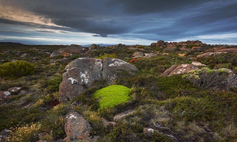 Веллингтонские просторы. фото превью