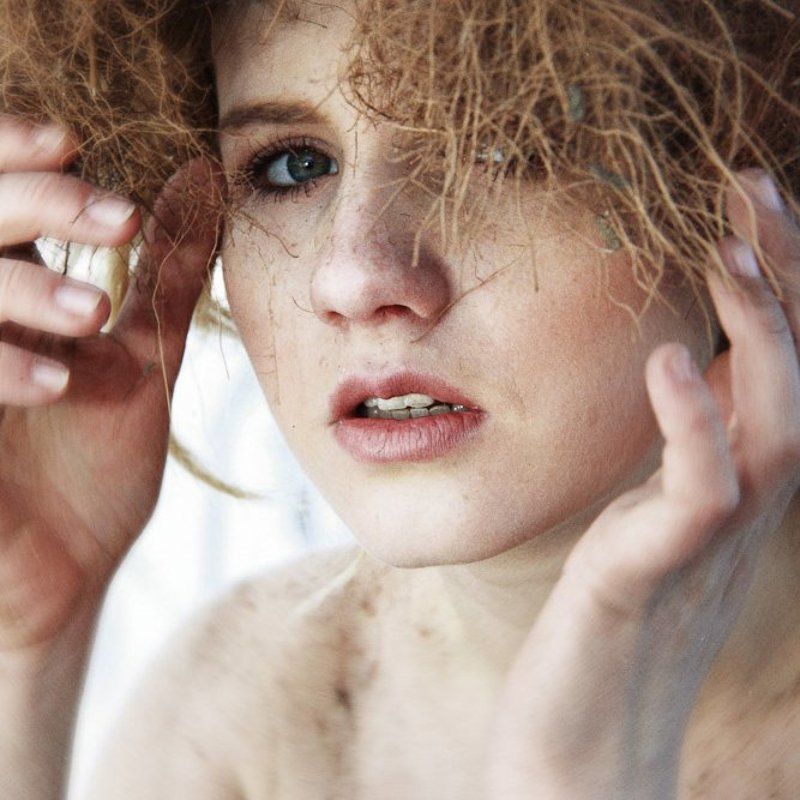 Nido фото превью