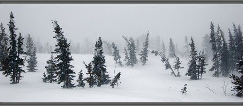 Pro Шерегеш, которого не было…