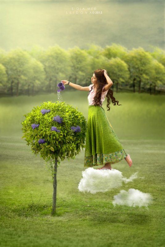 Gardener фото превью