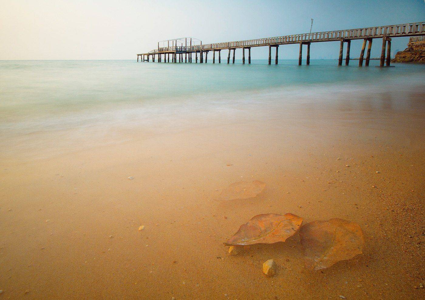 лист, светлана голицына