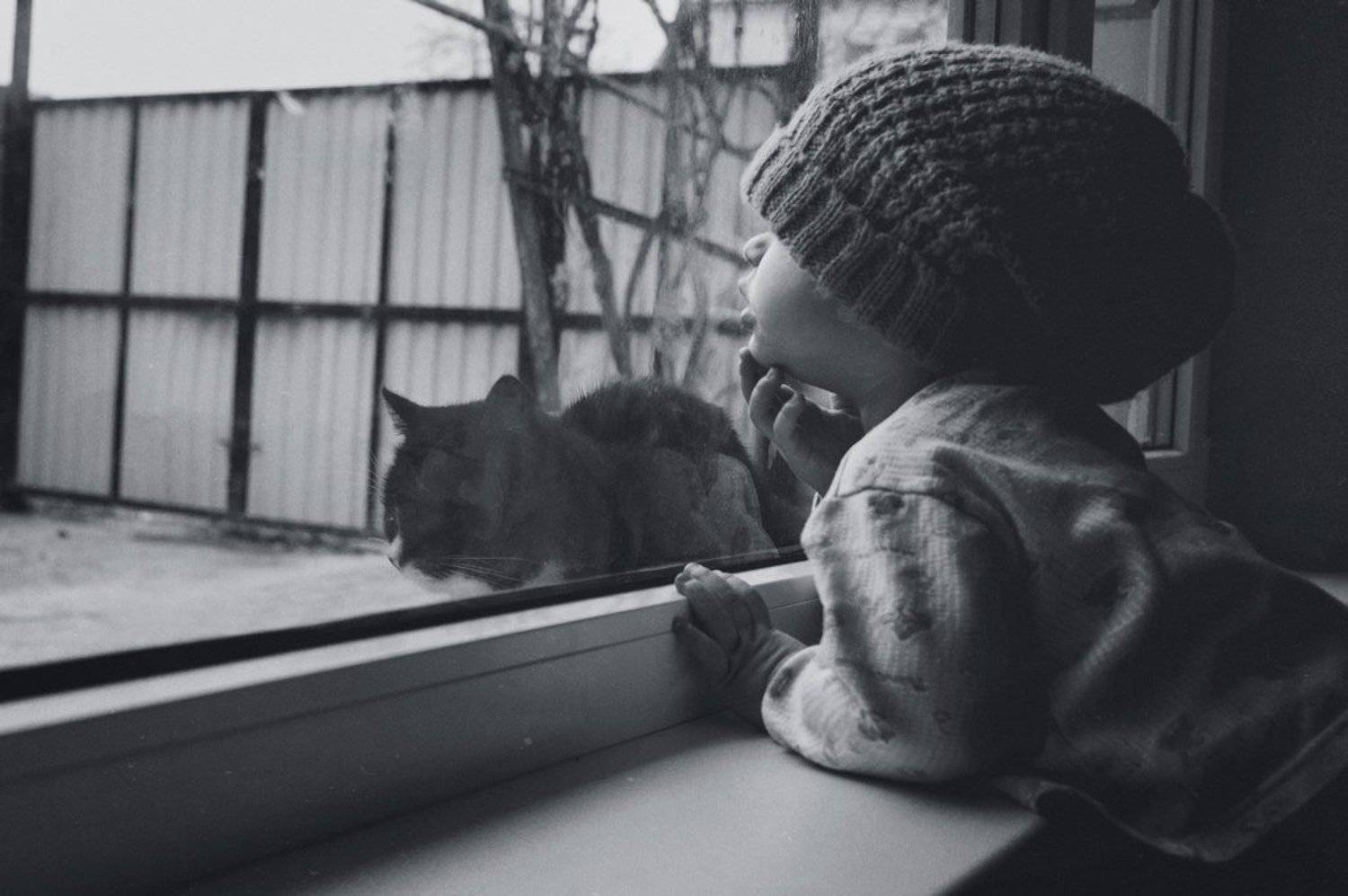 , Рустам Рахимов