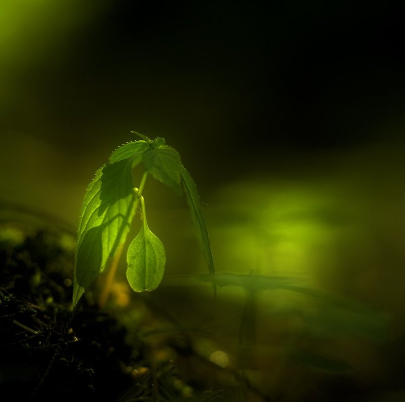 Усталость... фото превью