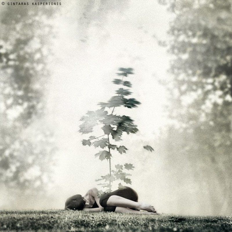 art, arts, artistic, fine, photography, foto, photo, modern, conceptual, feeling, emotion, square, 1x1, toned, gintaras, kasperionis, original, idea, gallery, pentax, contemporary, artwork, mono, woman, girl, sleeping, tree Gravity фото превью