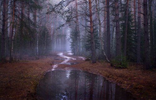 Раннее утро последнего снега
