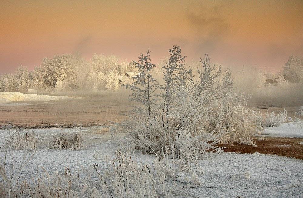 , Александр Коротков