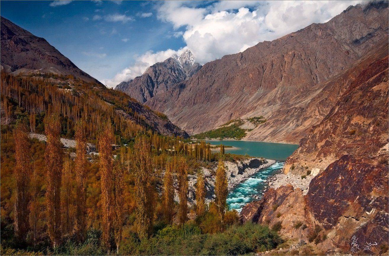 , Алексеевич