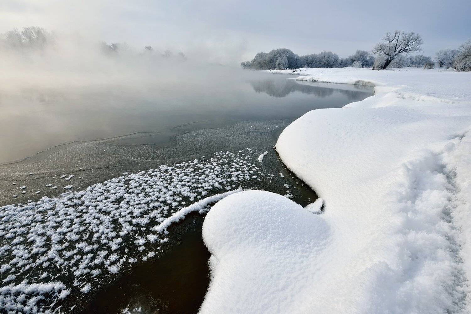, Максим Евдокимов