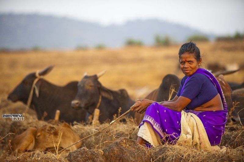 Гоанские картинки фото превью