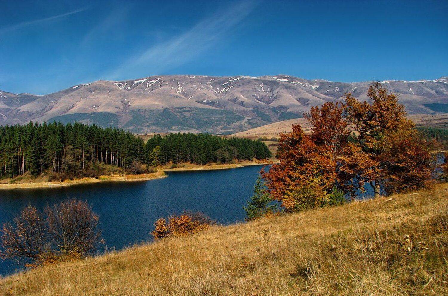 , Ирина Костова