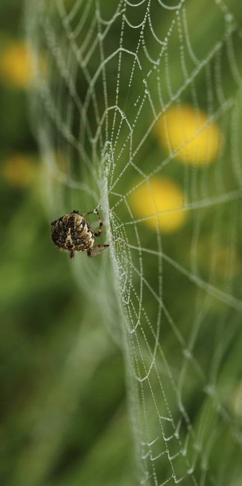 , Игорь ФУММ